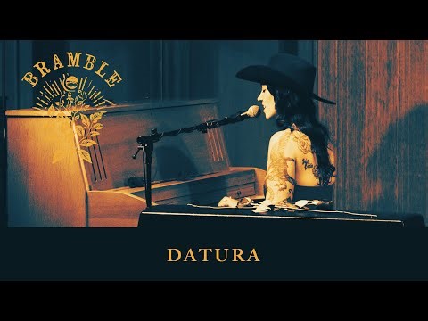 Bramble | Datura "Saint Cecilia"