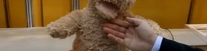 Fujitsu Robot Bear Gets Video Demo: Terrifies - SlashGear