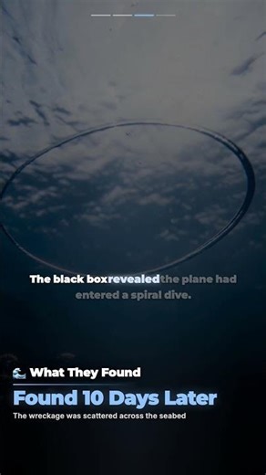 A Boeing 737 Dropped Off Radar Over the OCEAN #shorts