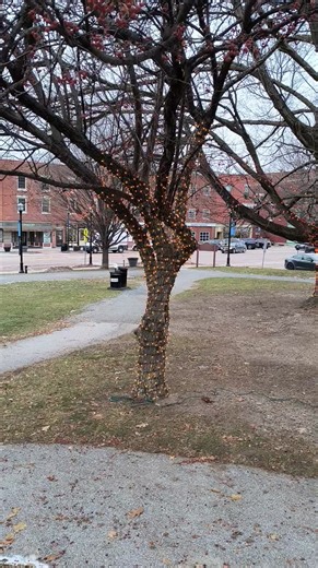 The park lights are back on!! Still lots of work to be done, but we're one step in the right direction!! | Downtown Saint Albans