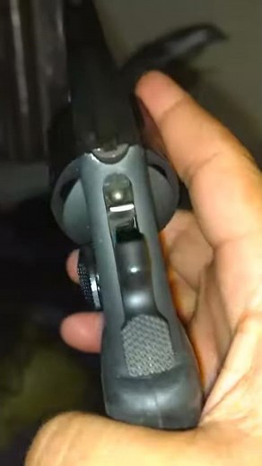 Issue with Taurus Model 82