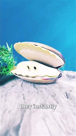 "Why This City Trusts Clams More Than Computers 🐚💧"