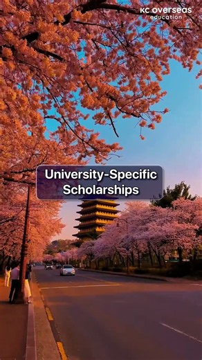 Study in South Korea | Scholarships, Top Universities & Admission Guide for International Students