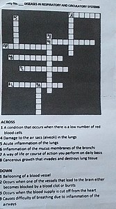 Diseases in Respiratory and Circulatory Systems Crossword Puzzl... | Filo