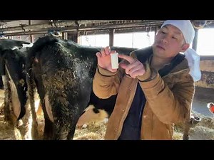 生乳の抗生物質検査