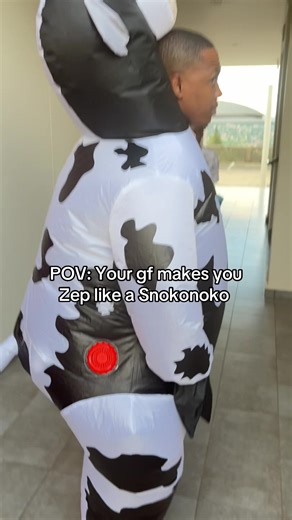 Understanding Zebra References in Modern Humor