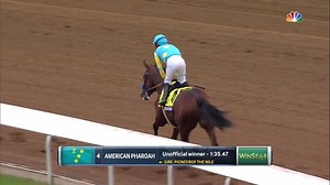 21K views · 275 reactions | With the Tattersalls October Yearling Sale upon us, check out which stallions mean the biggest business... | At The Races | Facebook