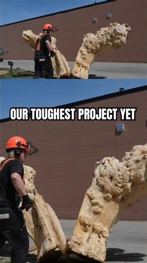Our Toughest Project Yet #woodworking #chainsaw #tree