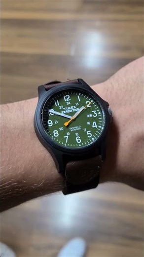 The Reliable Daily Wearer Watch | Timex Expedition
