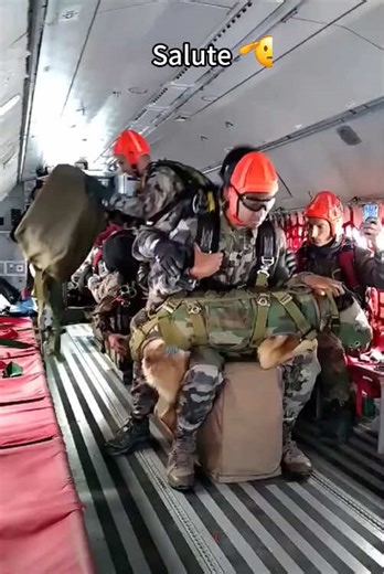 Life as a Paratrooper: Daily Experiences Unveiled