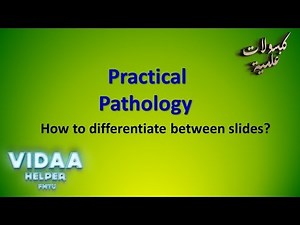 Practical Pathology - Slides