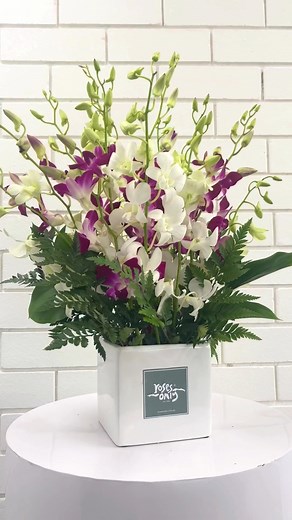 Elegantly extravagant! ✨ Our radiant magenta Singapore orchids make a truly stylish statement for any occasion 💐 #orchids #floraldeliverynearme #orchidflower | Roses Only