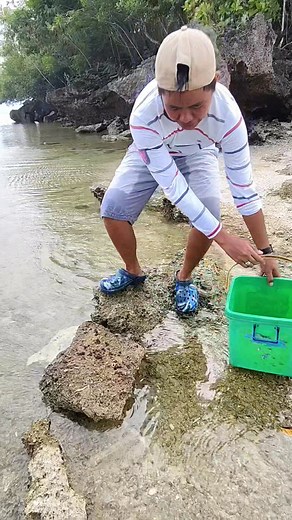 😱😱😱😱tamala under d rock #followerseveryonehighlights #fbreelsviralvideo #seafood #highlights | dayday blog Ng burias