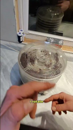 dehydrating beef jerky #part5 #venison #shorts