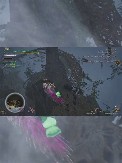 I can show you the wave