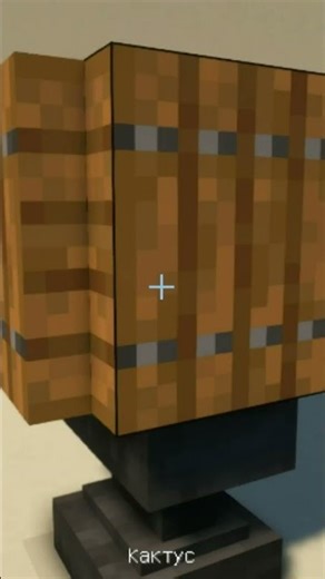 Minecraft Cactus Decoration