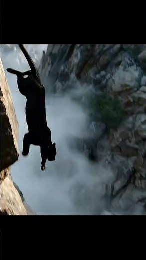 Majestic Black Panther Jump (Slow Motion) 🎬