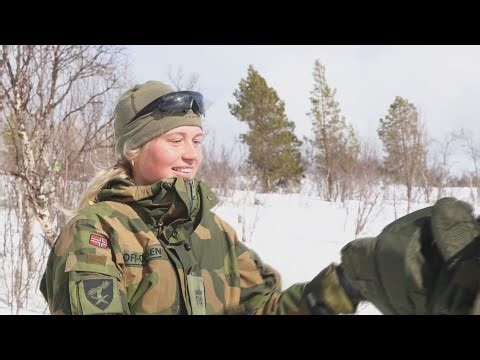 U.S. and Allied Forces Defending the High North and Baltics in Norway