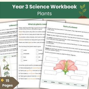 Year 3 Science Plants Workbook | Printable Science Lesson Resource