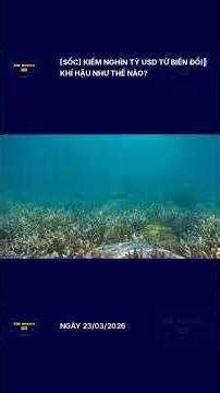 [SỐC] Kiếm nghìn tỷ USD từ biến đổi khí hậu như thế nào?