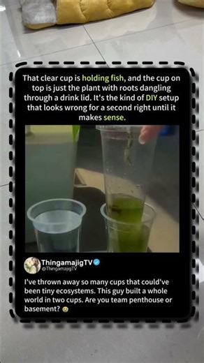 Two Cups, One Ecosystem – Fish Meets Plant 🌿 #Aquaponics #DIY #ScienceSnack