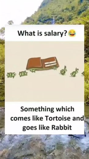 So accurate! 🐢💨💸