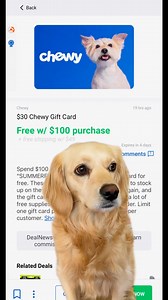 At Chewy, Spend $100 and apply promo code "SUMMERFUN" to earn a $30 digital gift card! Shop now here: https://bit.ly/3LOOiWf Valid through 8/5/24 6:30AM EST. #chewy #chewydeal #chewyautoship | DealNews | Facebook
