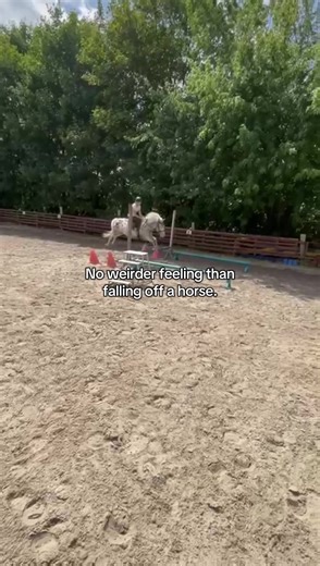 No Weirder Feeling Than Falling Off a Horse