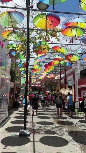 COLORFUL UMBRELLA STREET IN PUNTA CANA, DR 🎨🌂🇩🇴 #puntacana #dominicanrepublic