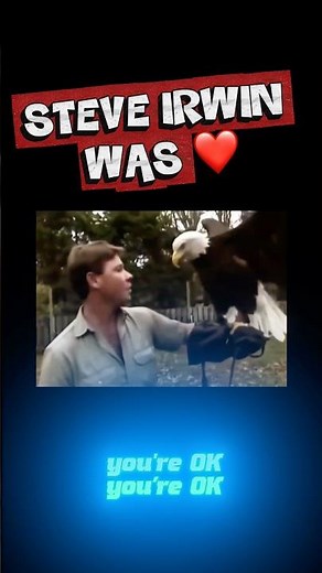 STEVE IRWIN WAS ❤️ #SteveIrwin #CrocodileHunter #animalplanet #Conservation #Australia #ytshorts
