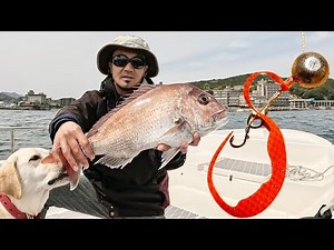 Unveiling the Legendary Rig: 200-Year-Old Technique for Japanese Red Snapper Fishing!