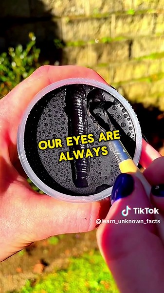 ⚠️⚠️ Did you know about these? 🧠 Watch more: @Random Facts 👈👈👈 #facts #randomfacts #factsyoudidntknow #randomcuriosities #learnontiktok