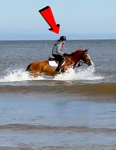 3M views · 10K reactions | You Laugh You Loss | Ray's Funny Page | Facebook