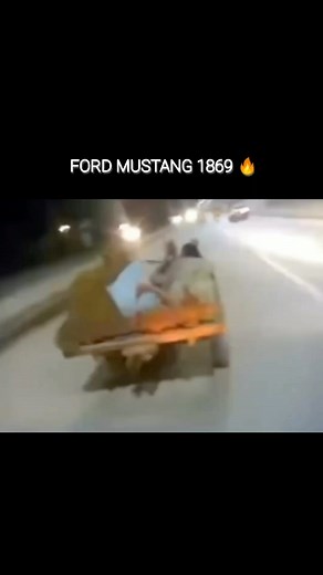 🤣🔥 via: unknown/dm #mustang #horseriding #mustanghorse | Hilarifys