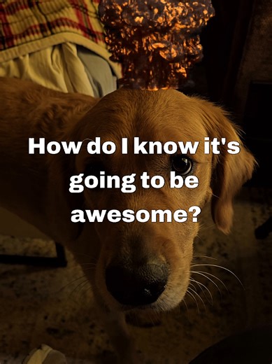 Creating an Engaging Roguelike Game