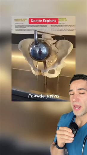 Understanding Male and Female Pelvis Structure Differences