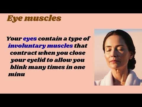 Brown Beige Playful Illustration Advocacy Pet Adoption Presentation Video