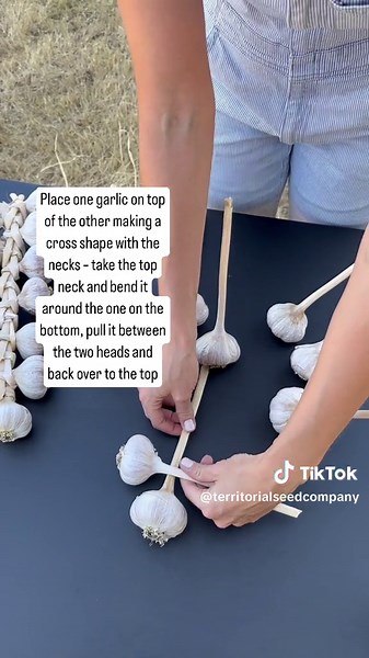 How to Braid Hardneck Garlic for Storage | Garlic Braiding Guide