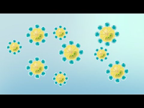 Was ist eine Emulsion?