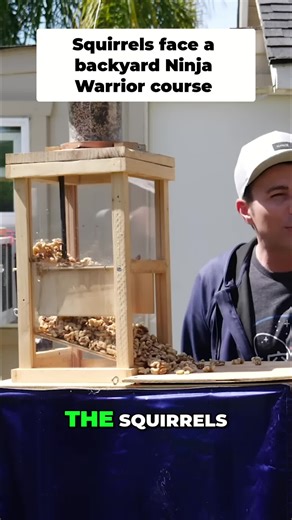 Backyard squirrel Ninja Warrior course—this is what peak engineering looks like. #Squirrels #NinjaWarrior #DIY #BackyardProjects #FunnyAnimals