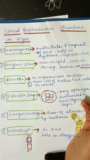 Reproduction in algae|Special reproductive structure in algae.