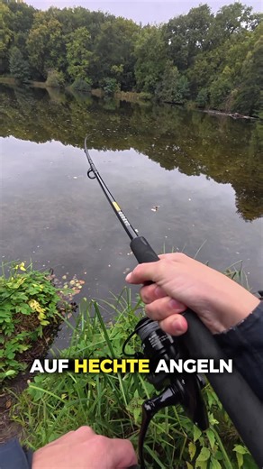 Hechte angeln mit dem Pike Go Kit 2 #jaeger #angeln #fishing #pike #hecht | Jaeger Fishing