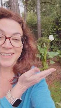 Another sumptuous amphibian morning on the #oregoncoast