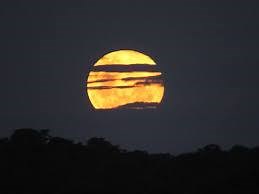 50K views · 2.2K reactions | Lua cheia + Júpiter | Mundo Curioso Astronomia | Facebook