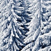 Zooryin Seby - 52 года на Мой Мир@Mail.ru