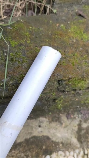 40K views · 174 reactions | Brilliant Idea Using Everyday Item You Already Have #shorts #diy | Tube Creative | Facebook