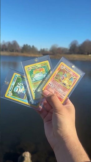 Base Set Charizard, Venusaur & Blastoise! #collectiblecards #pokemoncards #pokemon #pokemonchannel