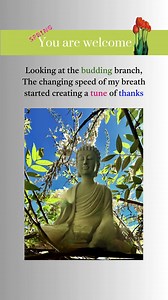 Today: There is a new life from which something new is born every moment. And I am new to every moment. #hellospring, #happyspring, #SpringBreak2025 | The Lost Gardens