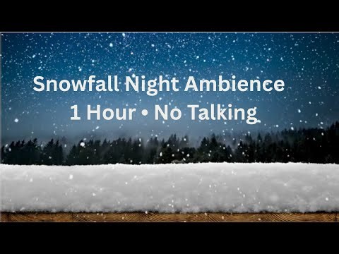 1 Hour Snowfall Night Ambience ❄️🌙 | Deep Sleep, Winter ASMR, No Talking