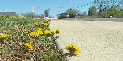 Nashville neighborhood demands safety changes after third death on Ewing Drive in two years